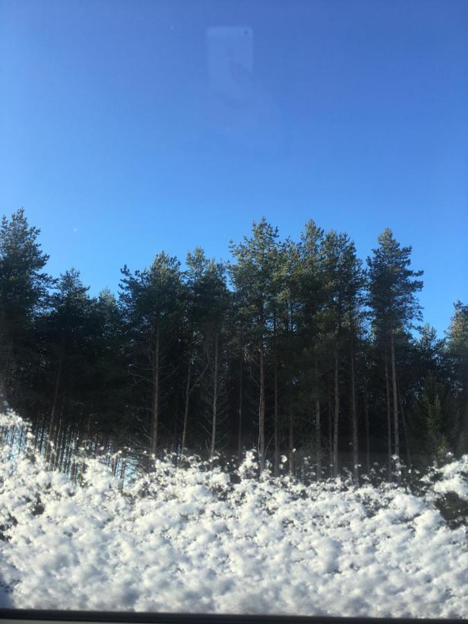 Kaeaenu Puhkemaja Rakvere Exterior foto