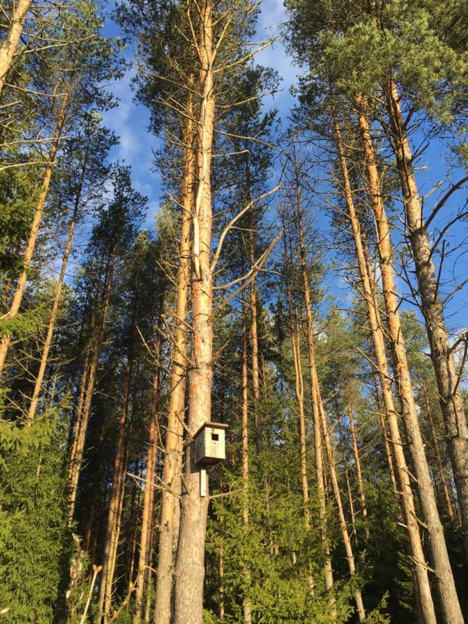 Kaeaenu Puhkemaja Rakvere Exterior foto